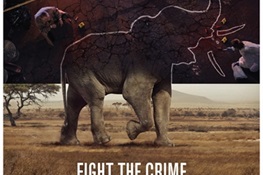 FIGHT THE CRIME: WCS Kicks off Third Phase of 96 Elephants Campaign